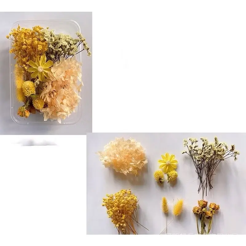 Hoa khô nhiều mẫu mới về dùng làm handmade, khung tranh, nến, sáp thơm, resin, trang trí. Kawaii - Thế giới hoa khô 6