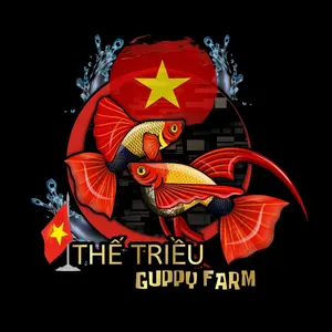 THẾ TRIỀU GUPPY FARM