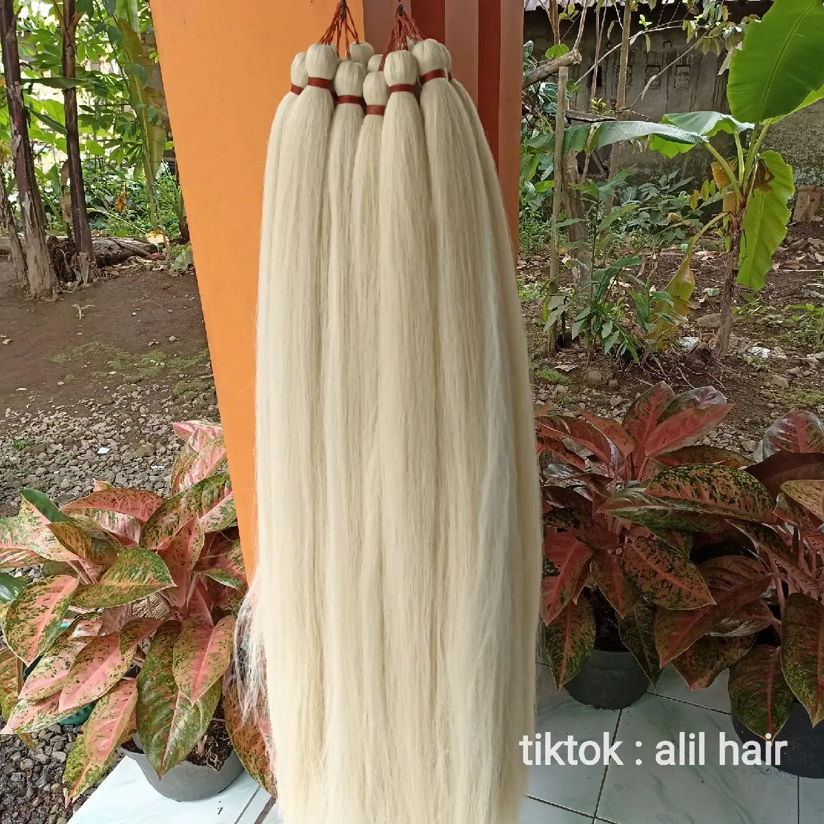 Rambut cemara warna putih gading halus