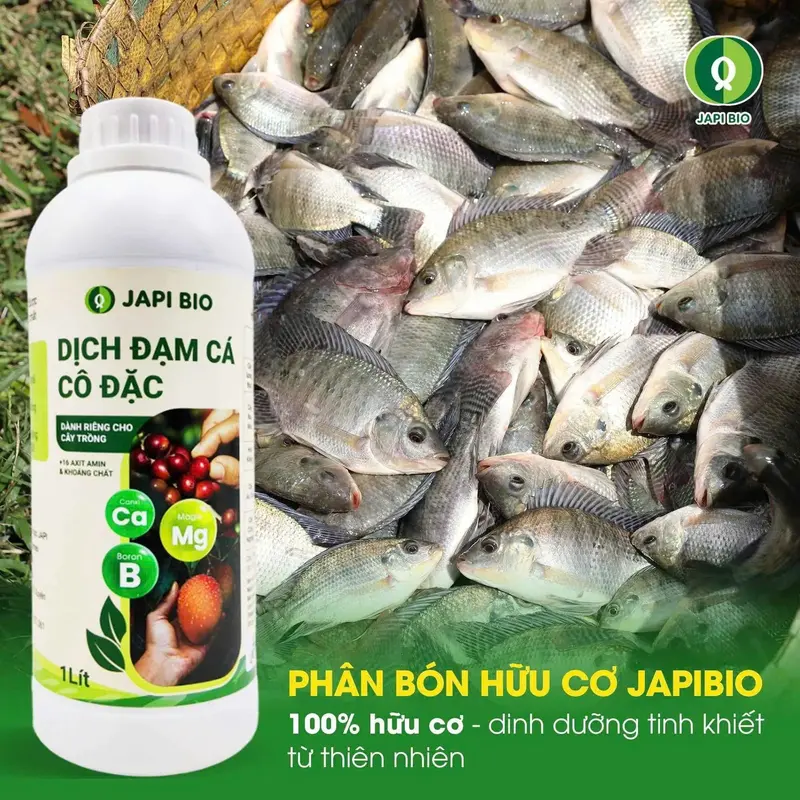Phân bón hữu cơ Japi Bio (chai 1L) - Dịch đạm cá Amino, giúp cây xanh lá, bén rễ, đất tơi xốp 2