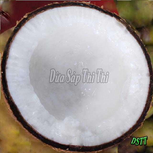Dừa Sáp Cầu Kè Loại 3 Size Cồ Trên 1.5Kg - Chuẩn Sáp Loại 3 Khô Đặc Sản Trà Vinh - Vĩnh Long