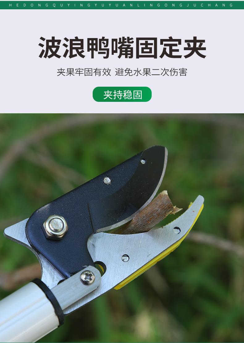 Product Introduction of Winda High Branch Fruit Picking Scissors Telescopic Fruit-Picking Device Gardening Scissor Litchi Longans Pomegranate Persimmon Picking Scissors Garden Tools 8