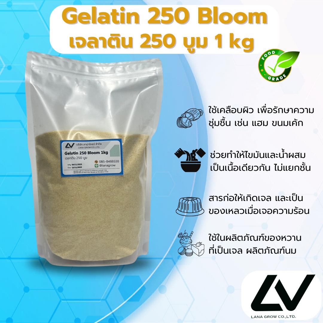 เจลาติน 250 บูม - Gelatin 250 Bloom ช่วยรักษาความชุ่มชื้นของแฮม ขนมเค้ก