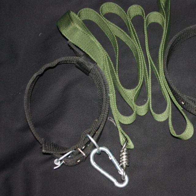  Dây cương và vòng cổ dành cho chó 