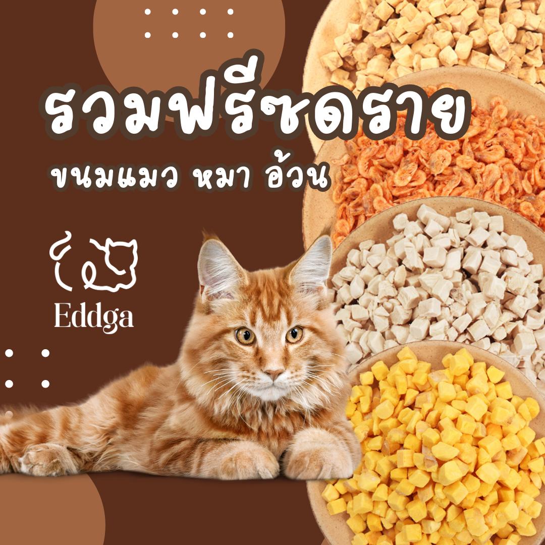 พร้อมส่ง ส่งไว!!  Eddga ขนมแมว ขนมหมาฟรีซดราย อบแห้ง รวมรส (ขนาดทดลอง) ขนมแมว ขนมสุนัข เต่า ปลา โป