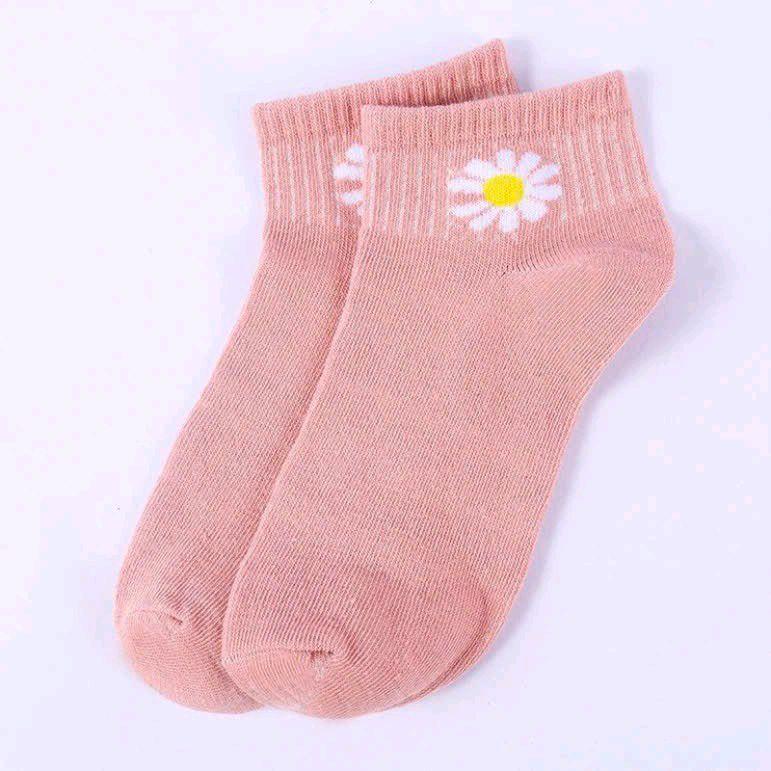 Tất Hoa Cúc ( Nhặt màu lộn xộn k chọn ) 3