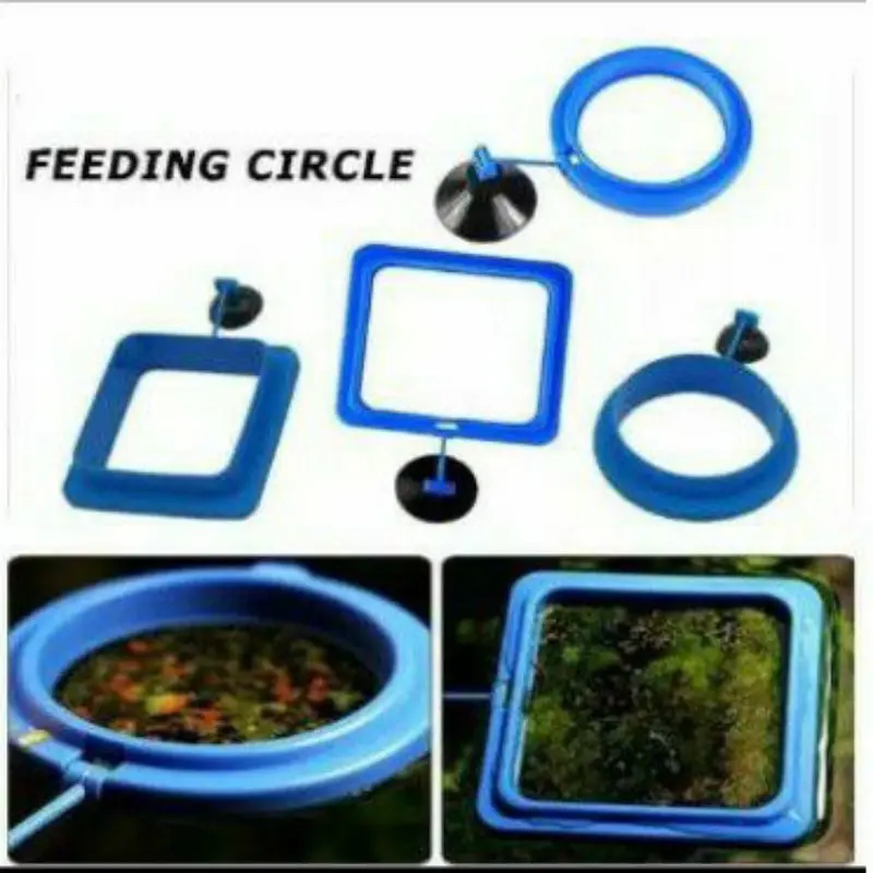 Tempat makan ikan / Aquarium feeder station / Floating feeding station / Ring Feeder / Tempat Pelet Ikan / Pelet Ikan Aquarium / Peralatan Makan Hewan di Akuarium / Wadah Makan Ikan Mengambang 0117 3