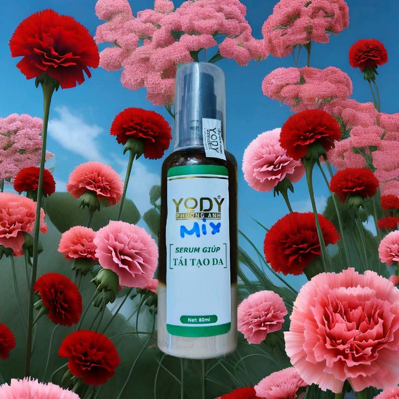 Tái tạo Mix sẵng PHƯƠNG ANH 1