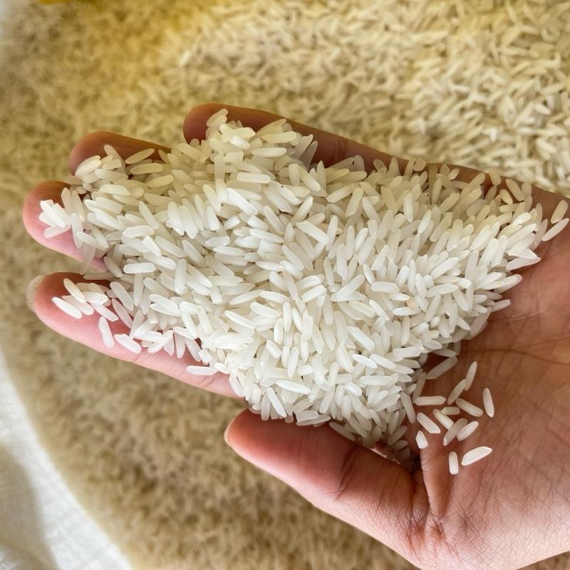 ข้าวหอมมะลิแท้ (5 กก ข้าวใหม่) 0