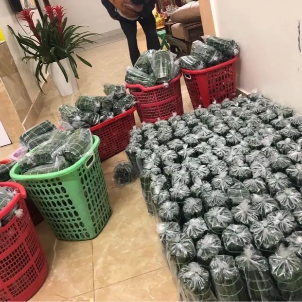 100 cái Nem Chua-Đặc sản Thanh Hoá chuẩn vị. Làm từ thịt và bì, có vị chua cay. Lên men bằng thính gạo. Food nem  chua 6