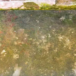 obat lumut paving cor2an tanpa sikat