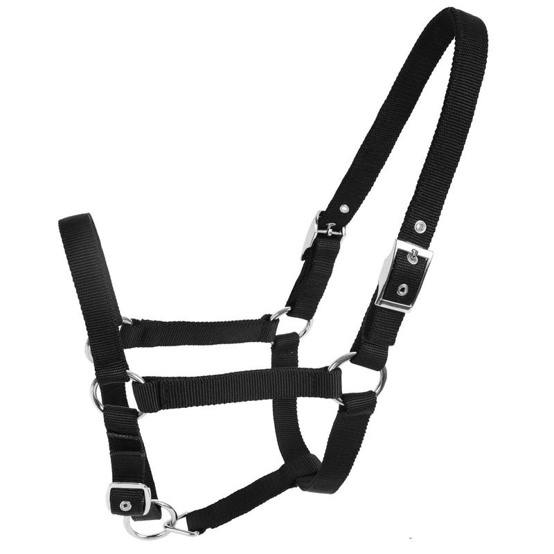 Product Introduction of Adjustable Horse Halter, Soft Comfortable Horse Head Strap, Professional Equestrian Equipment for Horse Riding, Outdoor Riding Accessories 2