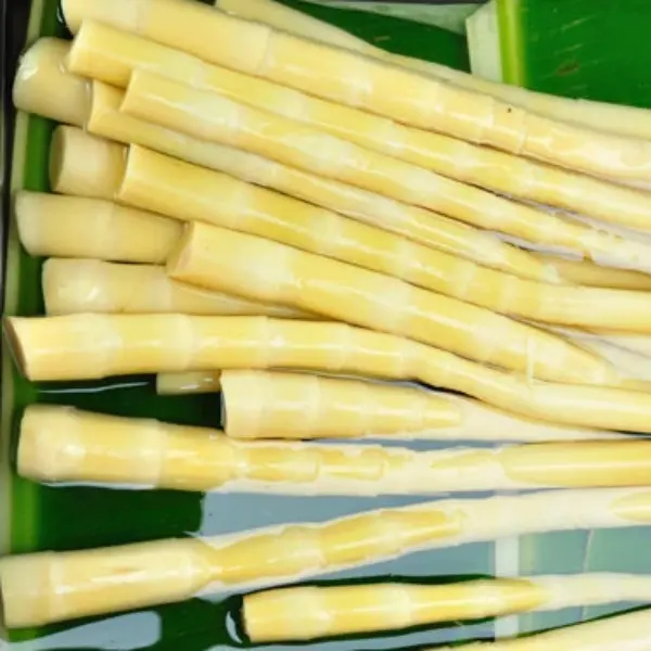 Măng Trúc Yên Từ cỡ nhỏ - Đặc Sản Núi Rừng Quảng Ninh cho nhiều món ăn ngon 2