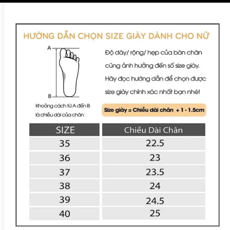 Product Introduction of Giày nữ mũi bóng pha xích ( fom to mua lùi size) 0