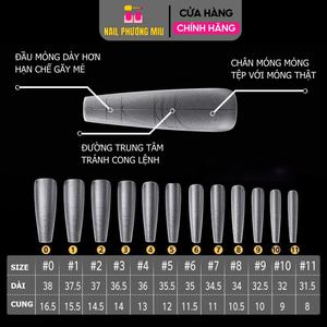Móng Up Nhám Có Vân Nhiều Size 300 Móng Form Thang Đa Năng, Siêu Dài, Chia Vạch Làm Nail Chuyên Nghiệp Nhựa Dẻo, Dễ Dũa Theo Form Nữ Women