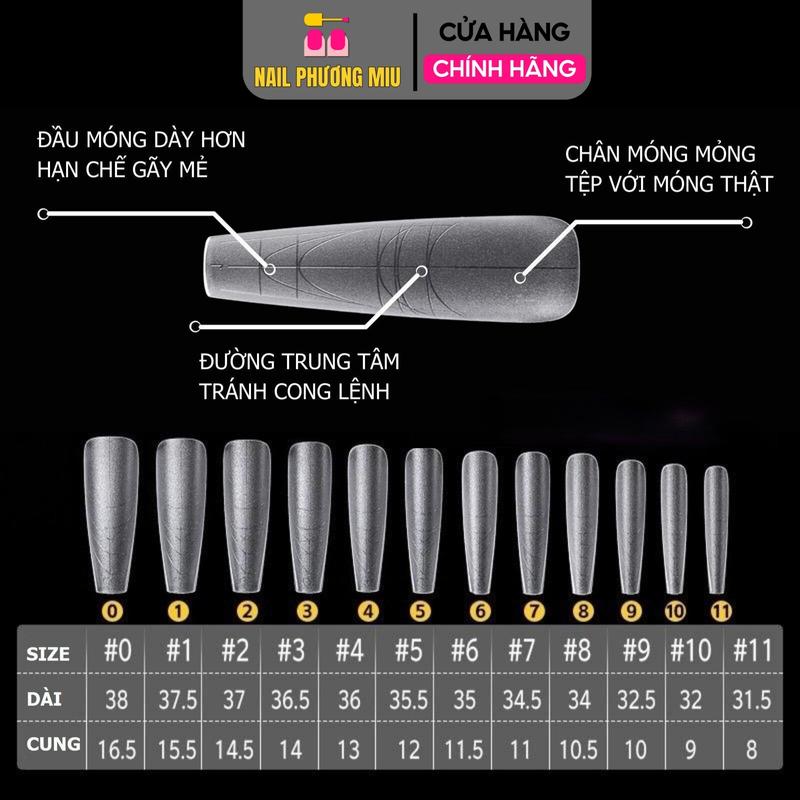 Móng Up Nhám Có Vân Nhiều Size 300 Móng Form Thang Đa Năng Siêu Dài Chia Vạch Làm Nail Chuyên Nghiệp Nhựa Dẻo Dễ Dũa Theo Form Nữ Women