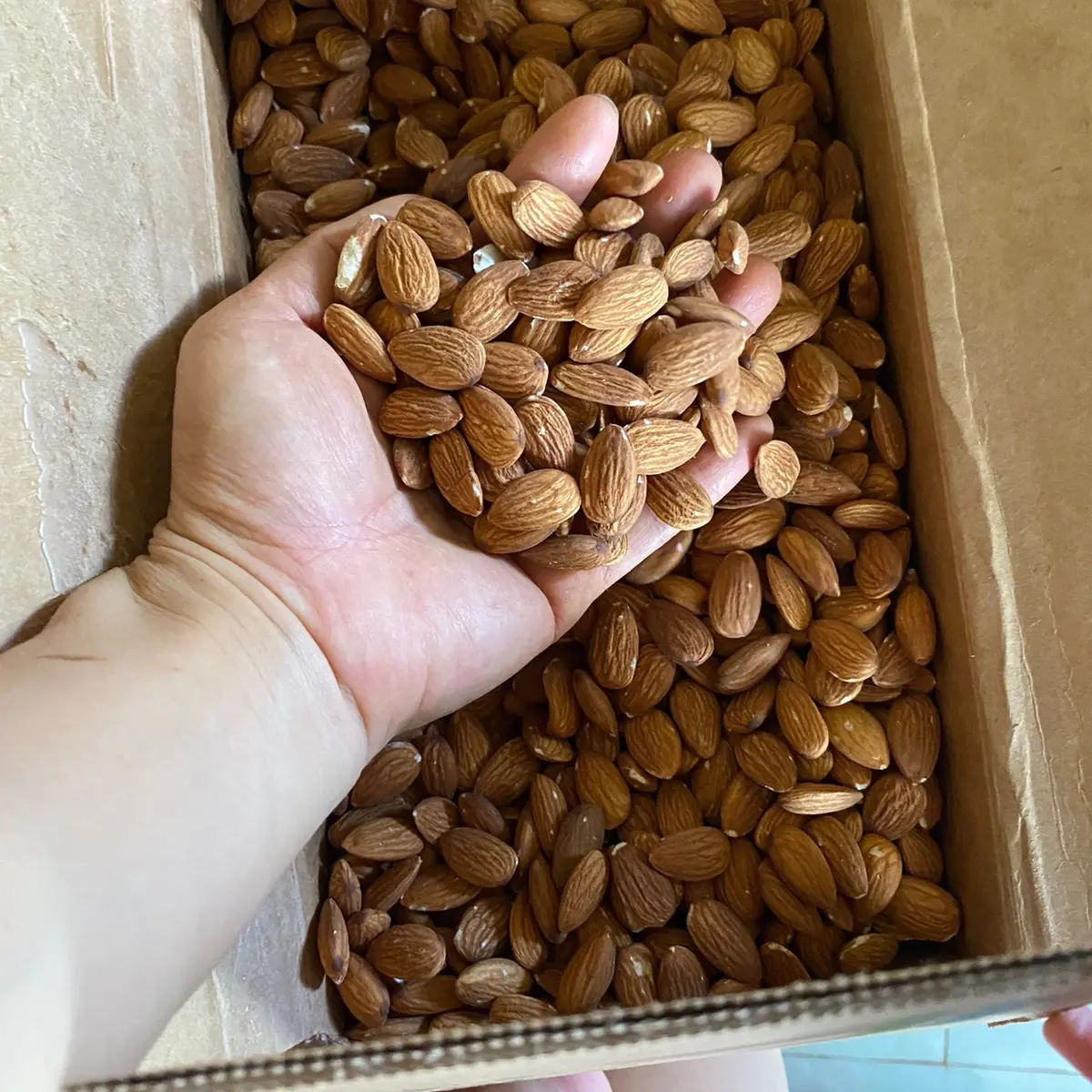 Nhân hạnh nhân sống/ sấy nhập khẩu Úc tươi