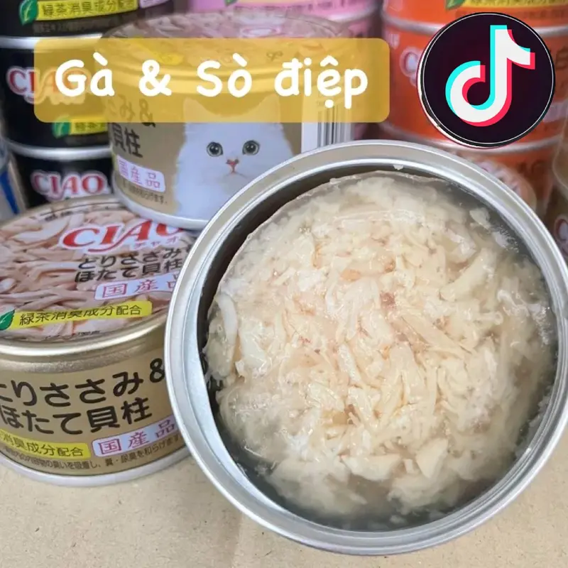 PATE CIAO LON 75G - PATE CHO MÈO MỌI LỨA TUỔI 5