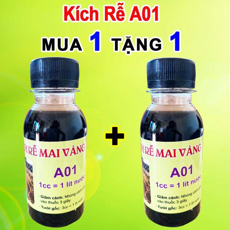 Kích rễ mai vàng A01 Mua 1 Tặng 1 - Phân bón kích rễ cho cây giâm chiết cành
