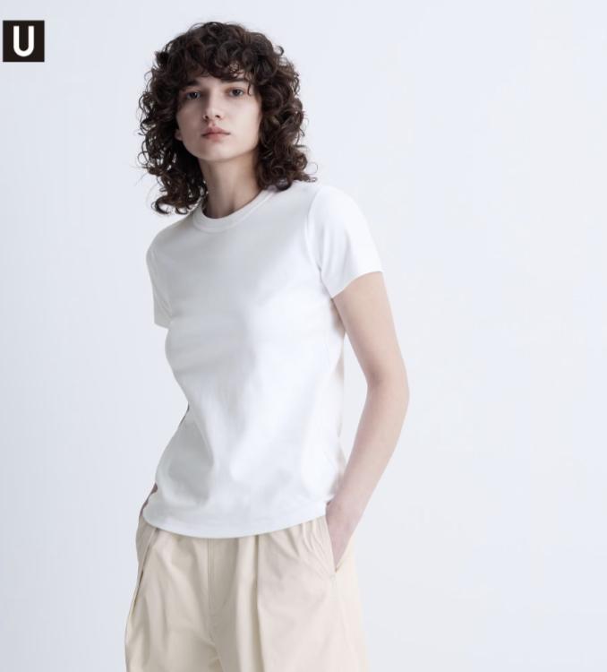 Áo thun Cổ Tròn Basic nhiều màu dễ mặc chất liệu cotton Top Women