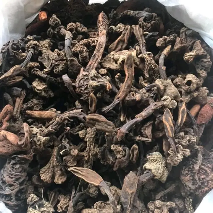 nấm ngọc cẩu khô gói 1kg