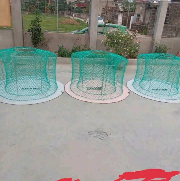 lồng chạy lưới thái cho gà chọi .