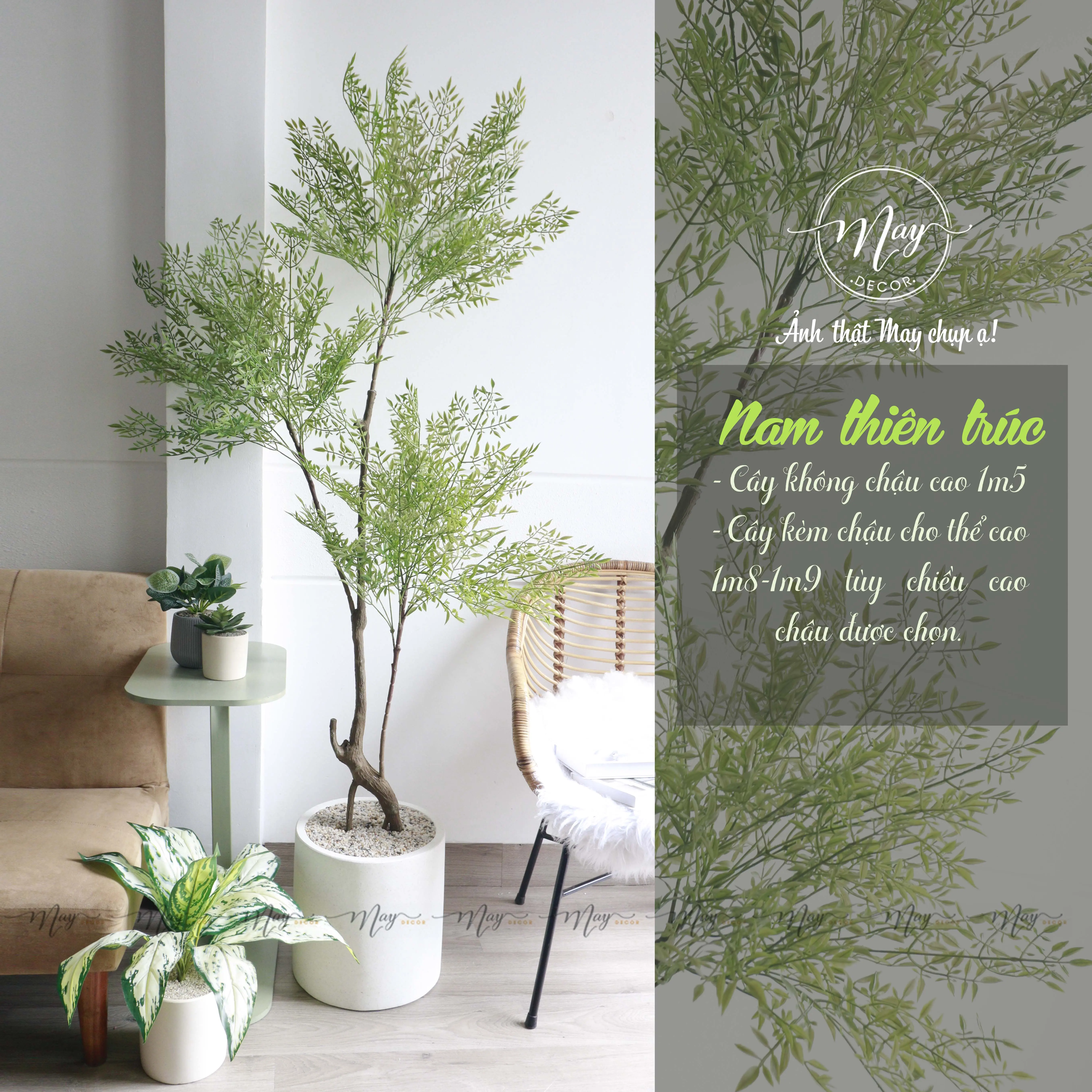 Cây giả, Cây Nam Thiên Trúc trang trí nhà cửa Decor Phòng