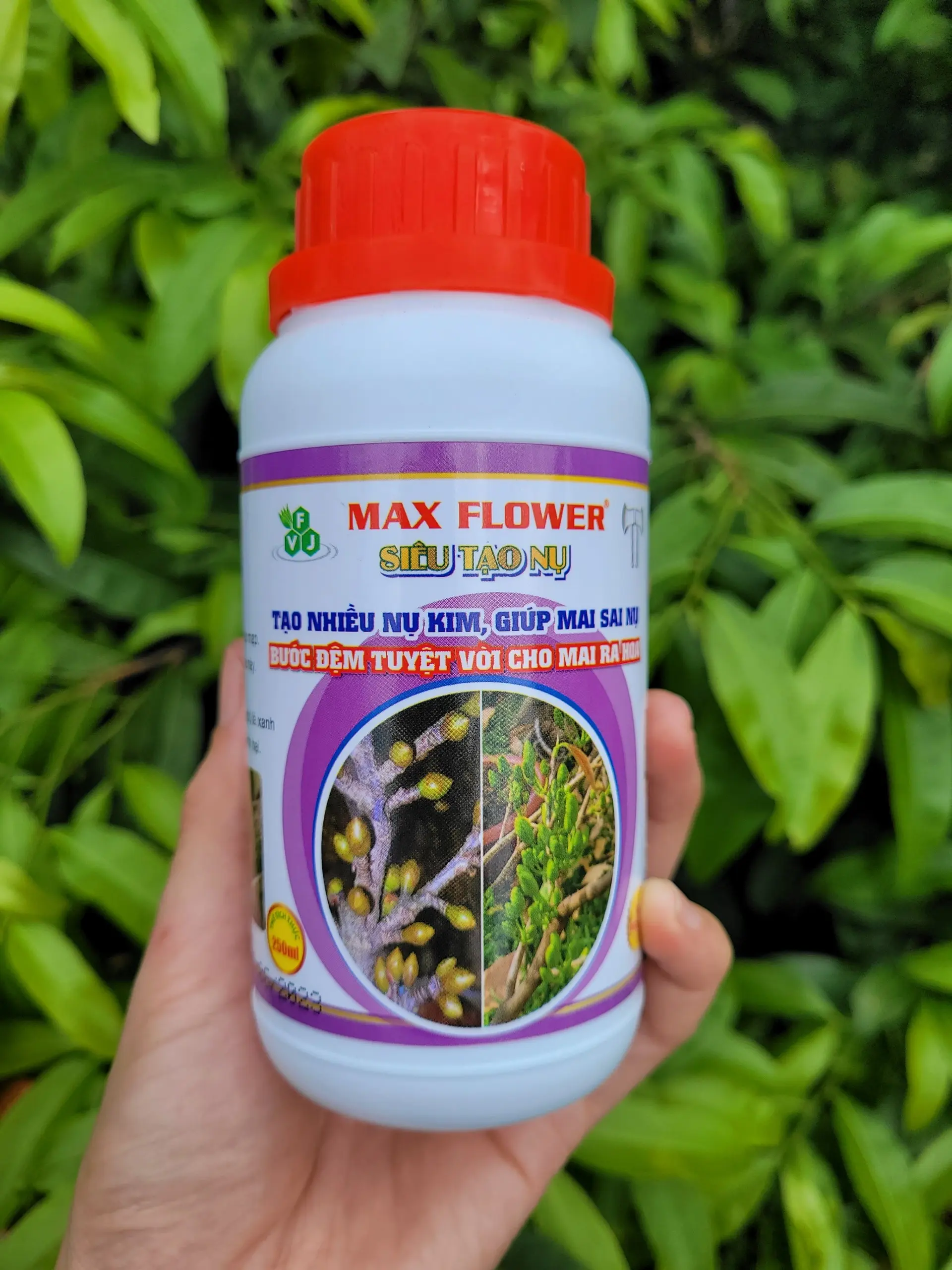 Phân bón lá S iêu tạo nụ - To nụ  mai vàng chai 250ml
