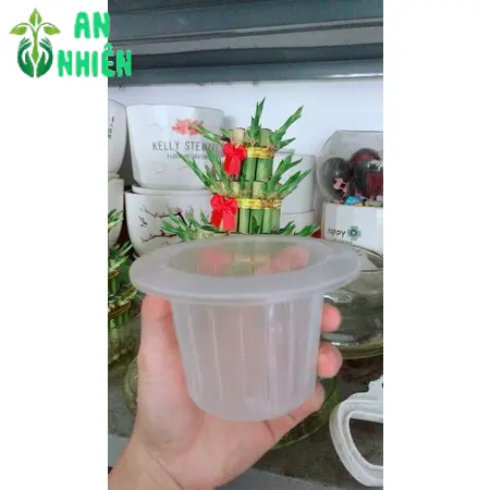 Nắp Trồng Thuỷ Sinh Hàng Gửi Như Hình 0