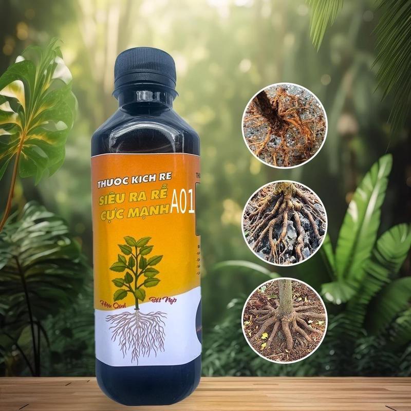 Kích rễ mai vàng A01 , mua 1 tặng thêm 1 chai