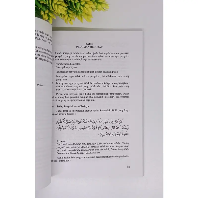 kitab terjemah Ath thibbun Nabawi ibnu Qayyim Al Jauziyah ( Dimas ) sistem kedokteran dan pengobatan Nabi Muhammad saw at tibun at thibun nabawi nabawiyyah 3