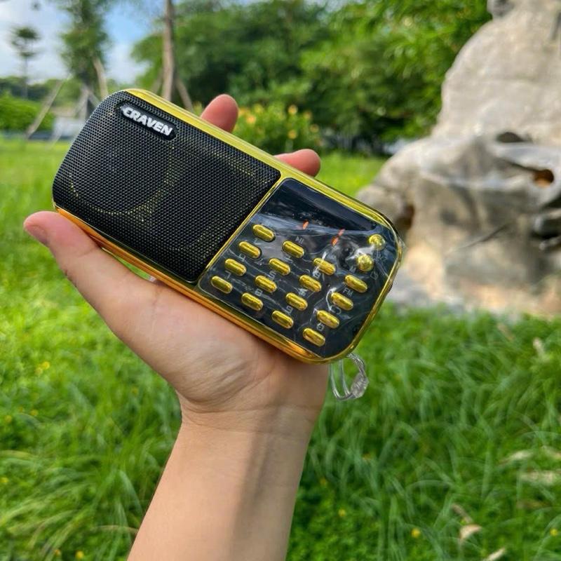 Loa craven 3 pin chỉ mỗi loa và dây sạc chưa có nhạc