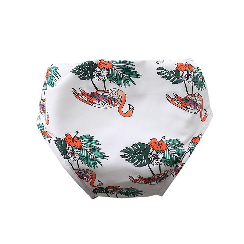 Product Introduction of Quần Đùi Bơi Chống Thấm Nước Và Thoáng Khí, Cho Em Bé, Thiết Kế Hình Tam Giác Hoạt Hình, Thích Hợp Cho Trẻ Em 0-3 Tuổi, Cửa Hàng Bán Chạy, Đồ Bơi Cho Em Bé 13