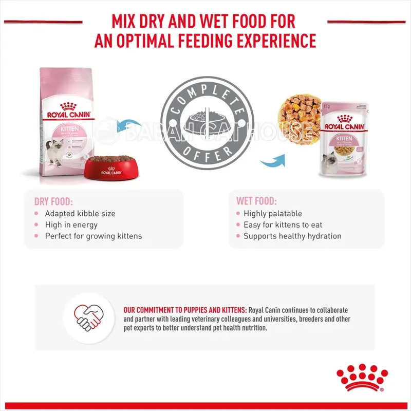 ROYAL CANIN KITTEN Pouch 85gr RC Cat Wet Food Makanan Anak Kucing Basah Sachet Loaf Gravy Jelly Murah Penambah Nafsu Makan Kiten Pencernaan Sensitif 5