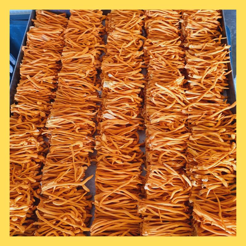 Đông Trùng Hạ Thảo Khô Sấy Thăng Hoa 12 gram 4