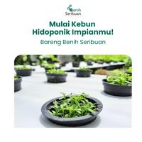 Gambar Penutup Impraboard Hidroponik Lubang 9 dan 12 - Tebal dan Kokoh - Benih Seribuan - IMPRABOARD 9 dari Benih Seribuan Kab. Boyolali 2 Tokopedia