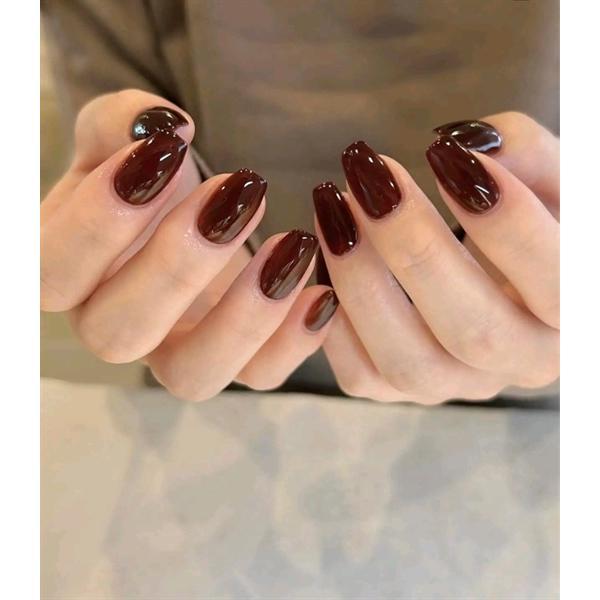 Sơn gel hot đỏ nâu 051 xeijayi