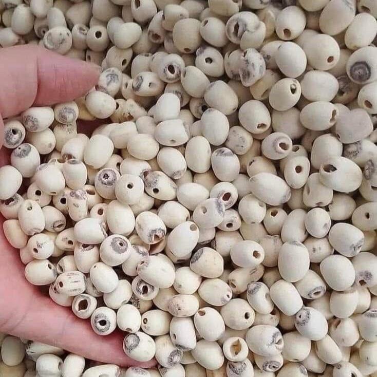 Hạt Sen Khô Túi 1Kg Hàng Tự Nhiên Tây Bắc