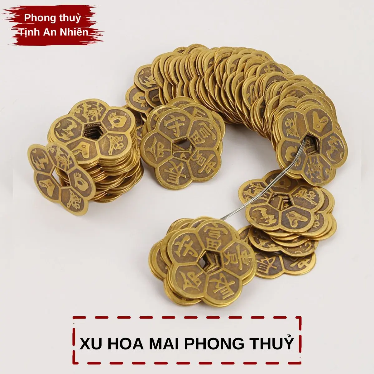 Đồng xu hoa mai kim tiền phong thuỷ tài lộc trang trí nhà cửa 5,5cm - Decor Phòng, Decor