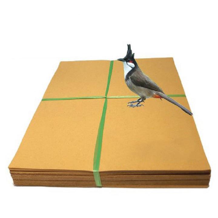 Giấy lót lồng chim chào mào giấy lót lồng chim vuông đủ loại kích cỡ lồng vuông,sing,thái 1kg