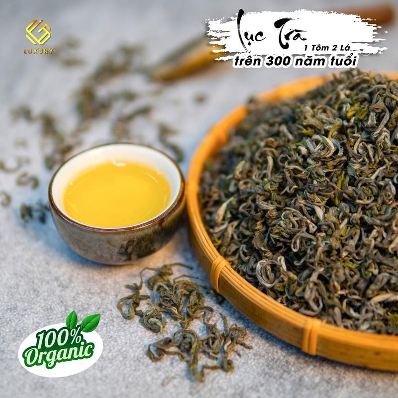 Lục Trà Shan Tuyết Cổ Thụ Ướp Nhài - Lục trà Shan Tuyết Cổ Thụ Trên 300 Năm Tây Côn Lĩnh - Tacoli Tea Nước Trà Chè trà thảo