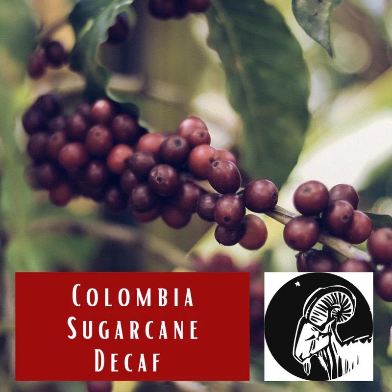 Product Introduction of Cà phê decaf ( đã khử cà phê in ) 6