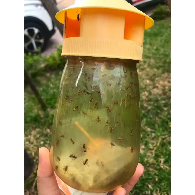 Lồng bẫy ruồi vàng 1L GOSE hũ bắt côn trùng kèm thuốc dẫn dụ hàng chính hãng 8