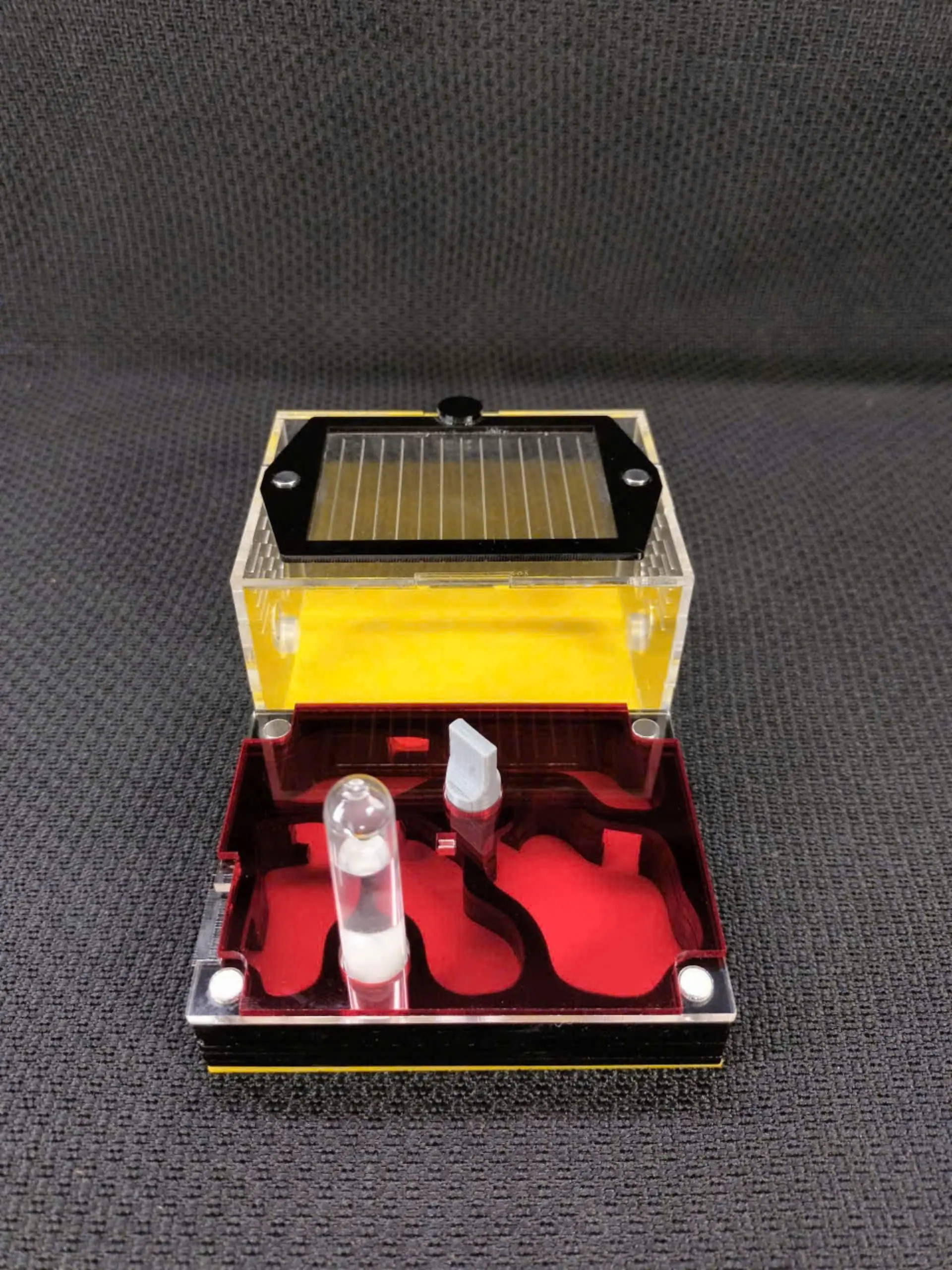 Tank nuôi kiên - hộp nuôi kiến N01 mica