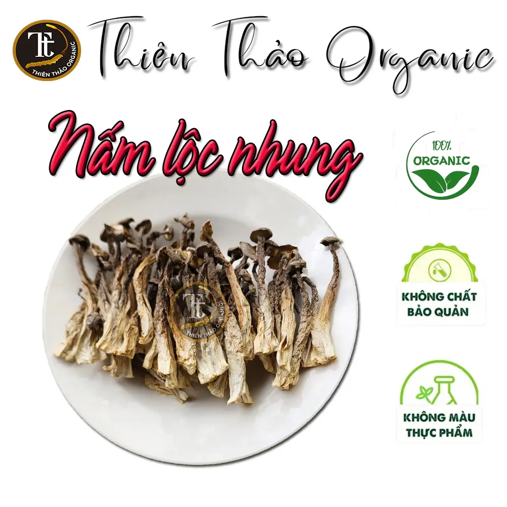 Nấm Lộc Nhung loại 1 nguyên cây rất tốt cho cơ thể 100gr Thiên Thảo Organic