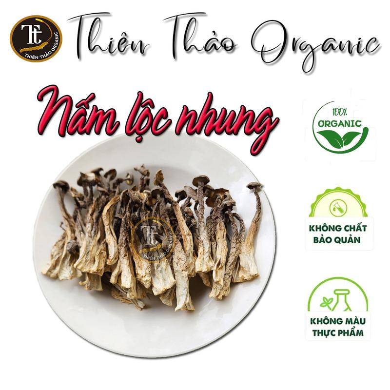500gr Nấm Lộc Nhung loại 1 nguyên cây Thiên Thảo Organic