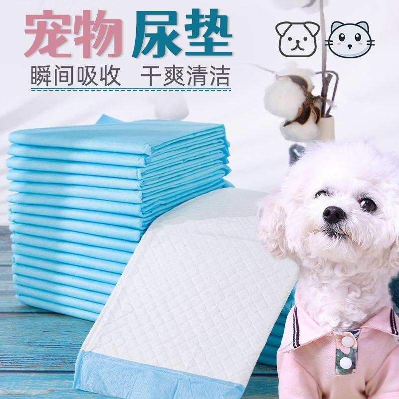 Product Introduction of Tấm Lót Tã Cho Thú Cưng, Tấm Lót Băng Vệ Sinh Bằng Giấy, Thích Hợp Cho Chó Và Mèo, Tấm Lót Băng Vệ Sinh Cho Chó, Tấm Lót Băng Vệ Sinh Cho Mèo 0