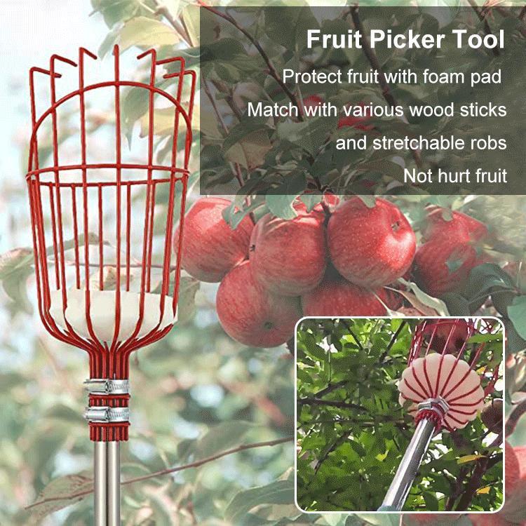 Fruit Picker Basket Catcher Picking Fresh Orange Garden Tool - TikTok ...