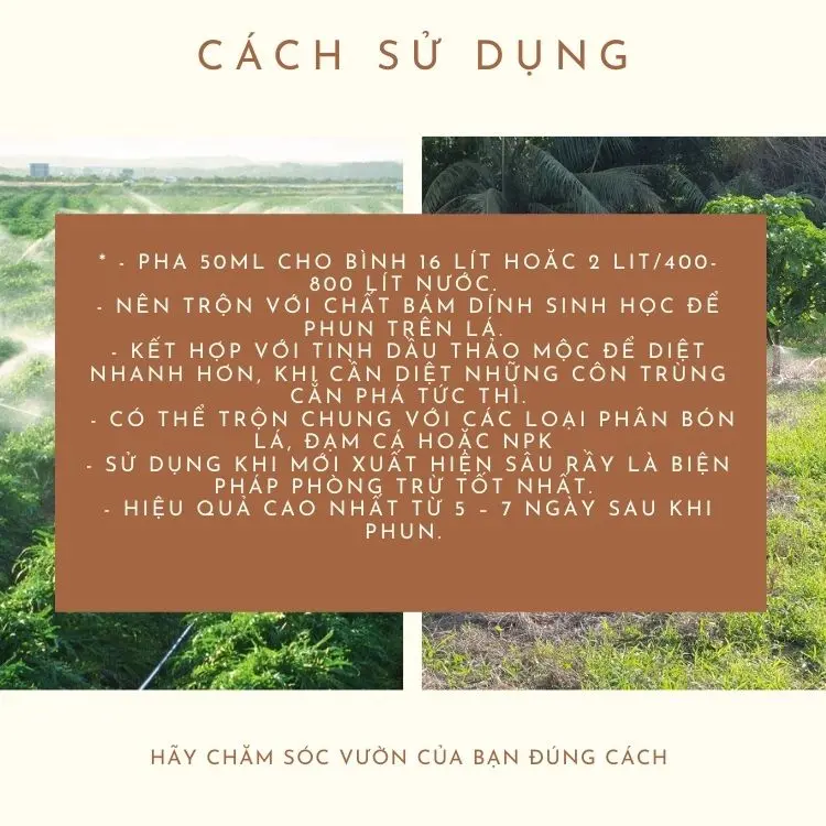 Phân bón sinh học NẤM 3 MÀU BACILLUS phòng ngừa Côn Trùng- Can 2 Lít 3