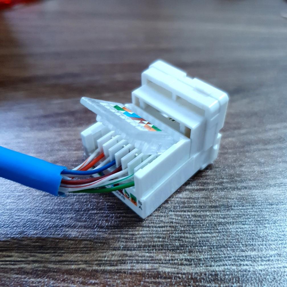 Hạt mạng &acirc;m tường RJ45 tự đ&oacute;ng cat6, m&atilde; HB-8040, d&ugrave;ng để bấm đầu d&acirc;y mạng (Vừa mặt sino tr&ograve;n)